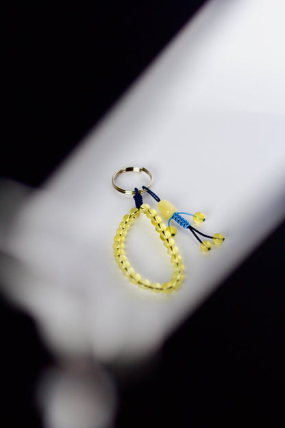 Amber Collection — Complete Set | Navy & Blue