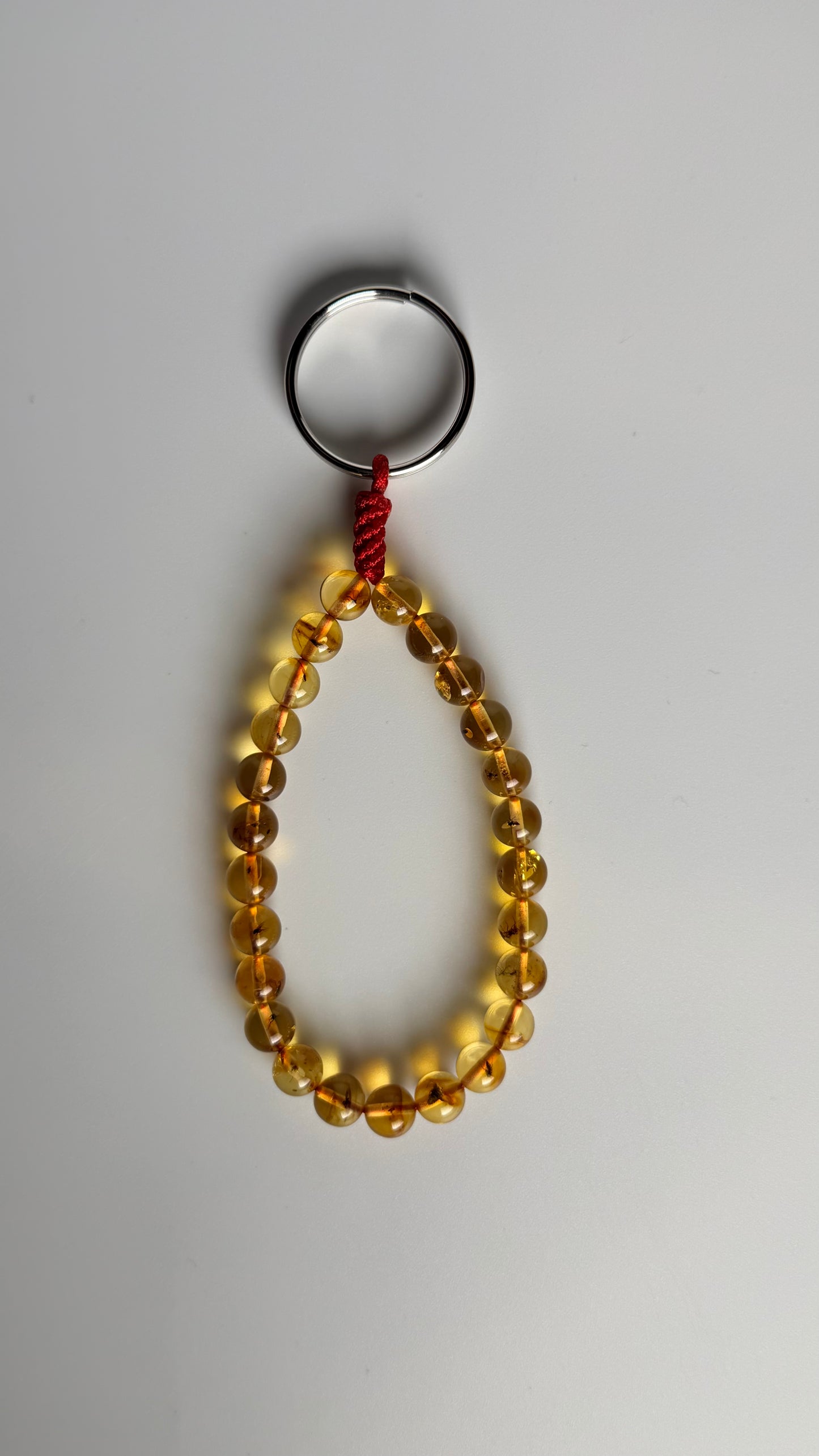 Amber Keychain - Preserved Edition 🐜